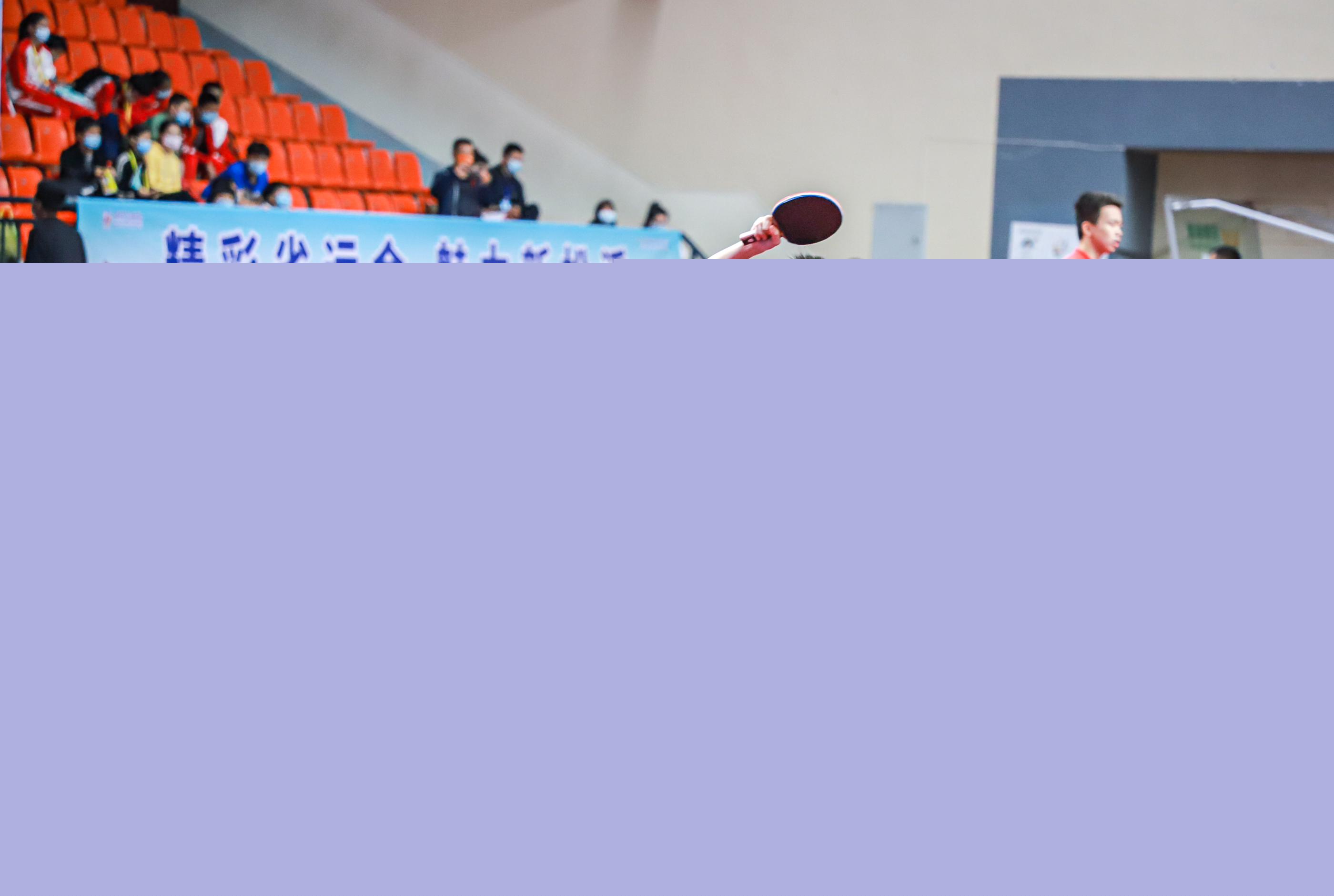 稳定贡献者 稳定贡献者